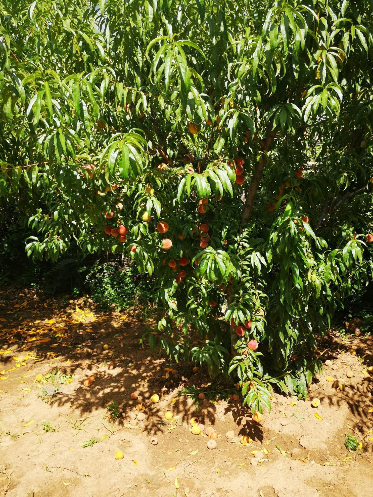 קלרנס Mt Horeb Manor מראה חיצוני תמונה